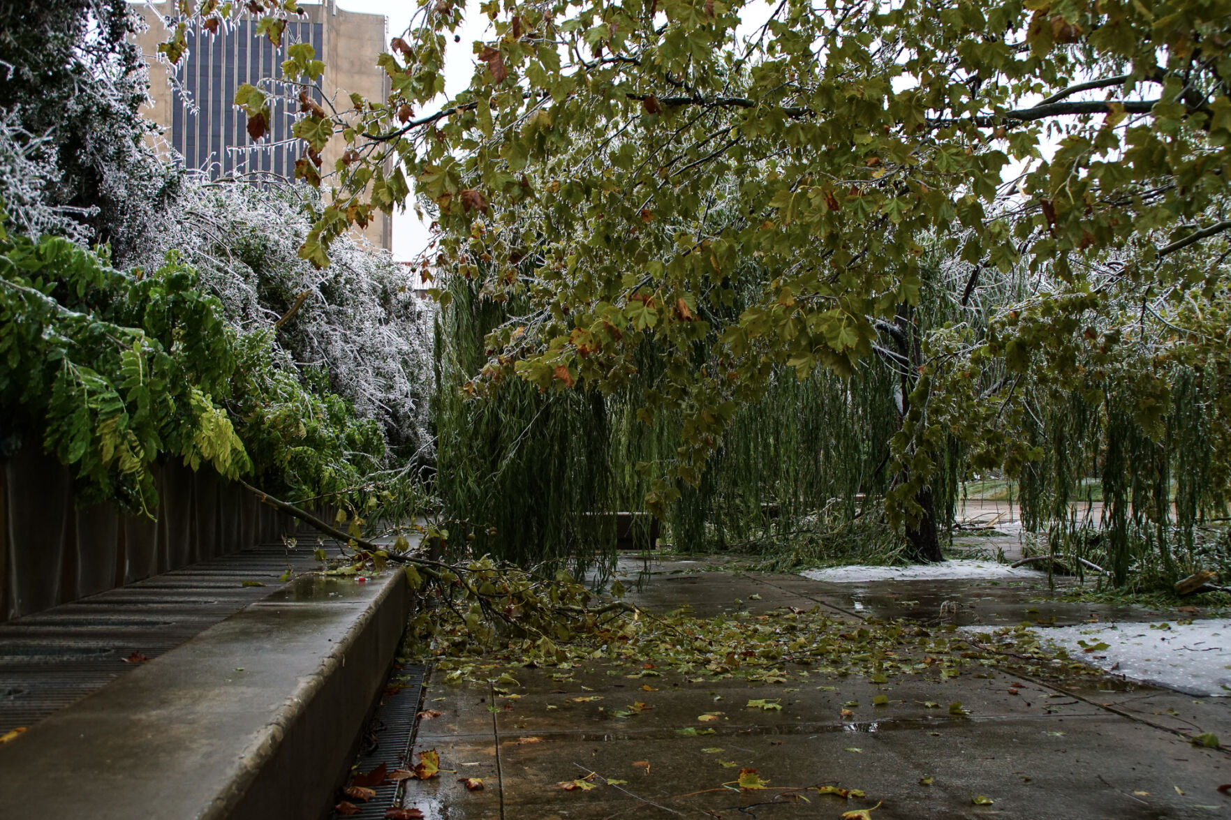 Benches